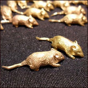 кошелечные мыши